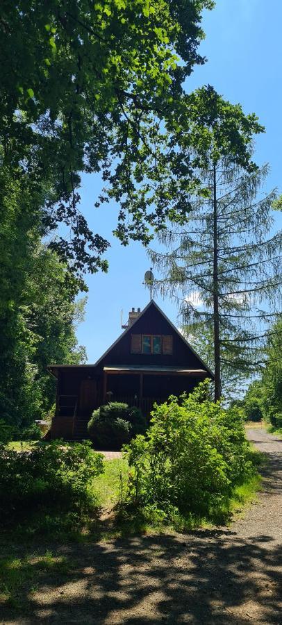 Chata Lucina Villa Horní Soběšovice Dış mekan fotoğraf