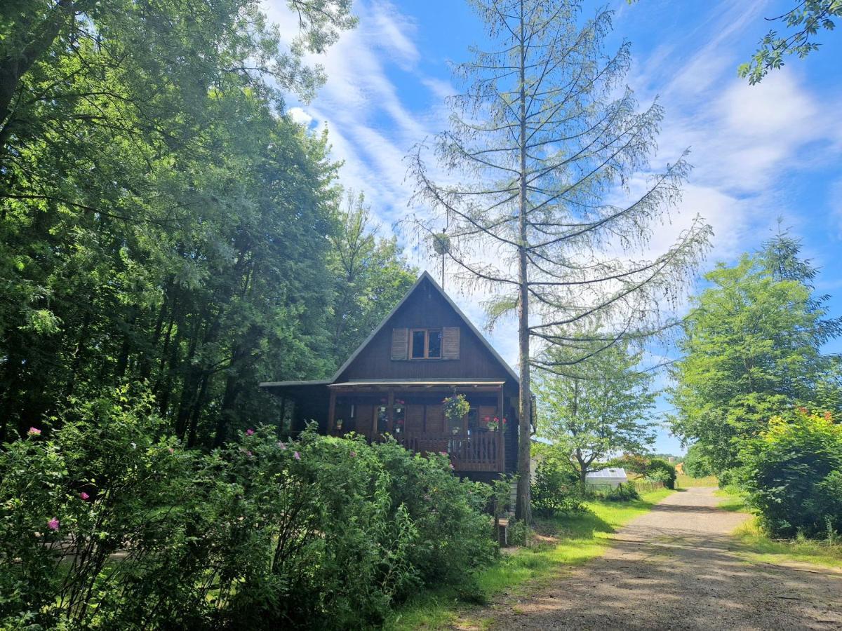 Chata Lucina Villa Horní Soběšovice Dış mekan fotoğraf